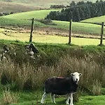 Bed & Breakfast Dale View