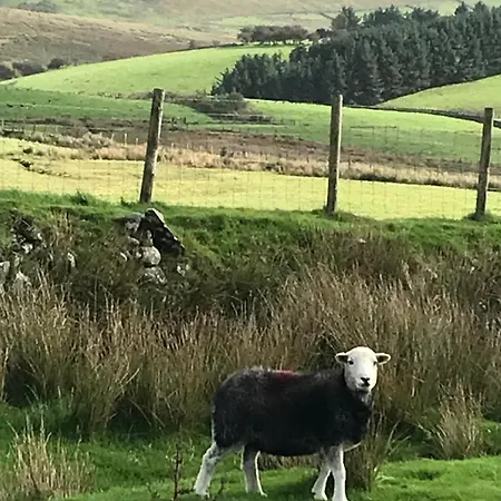 Couette-café Dale View