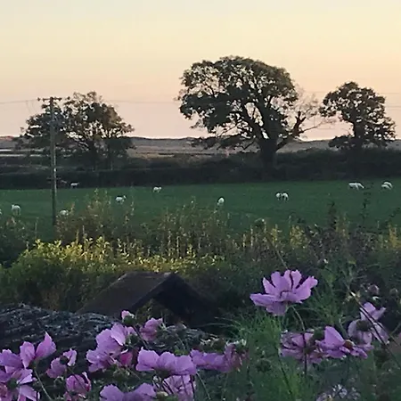 Dale View Bed & Breakfast 4*