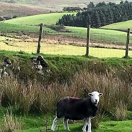 Dale View B&B