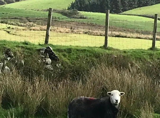 Bed & Breakfast Dale View